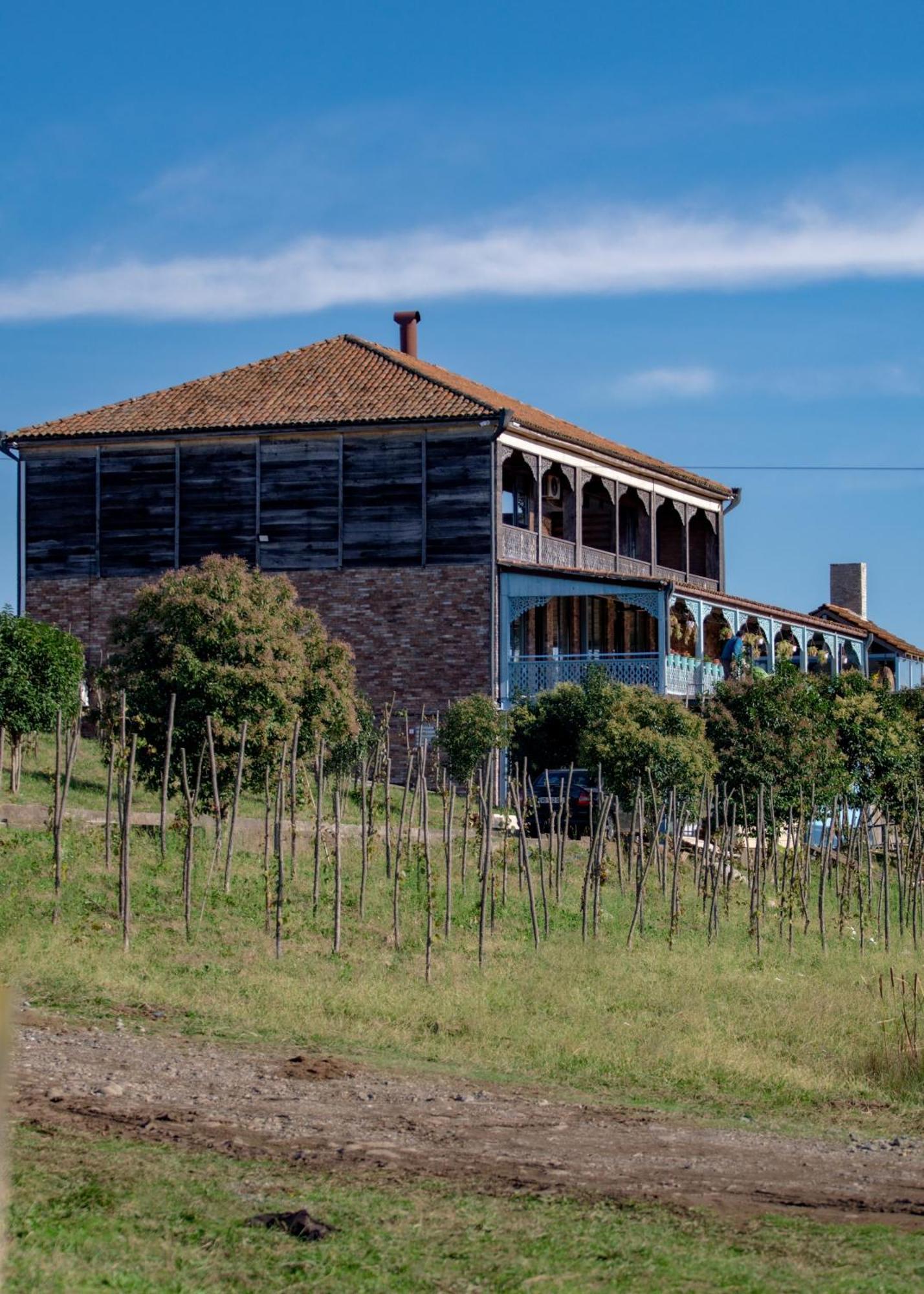 Chateau Vartsikhe Kültér fotó