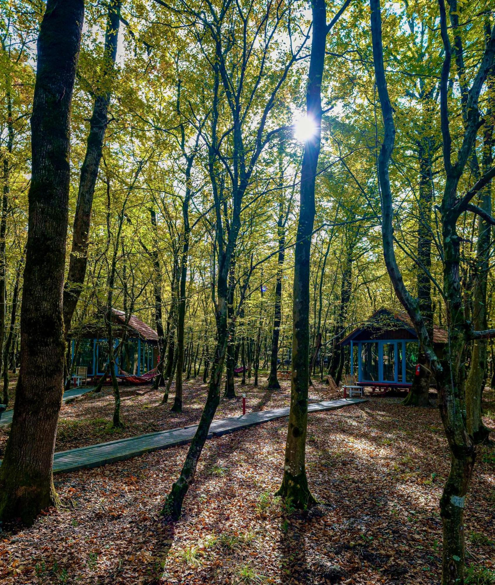 Chateau Vartsikhe Kültér fotó