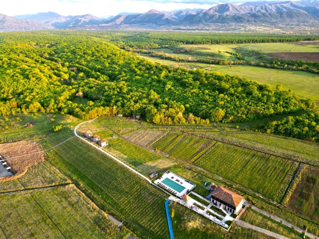 Chateau Vartsikhe Kültér fotó