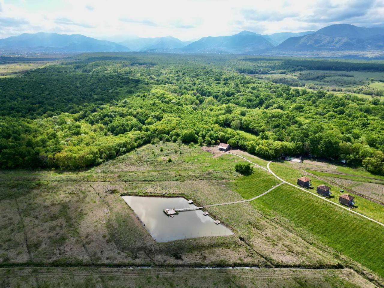 Chateau Vartsikhe Kültér fotó