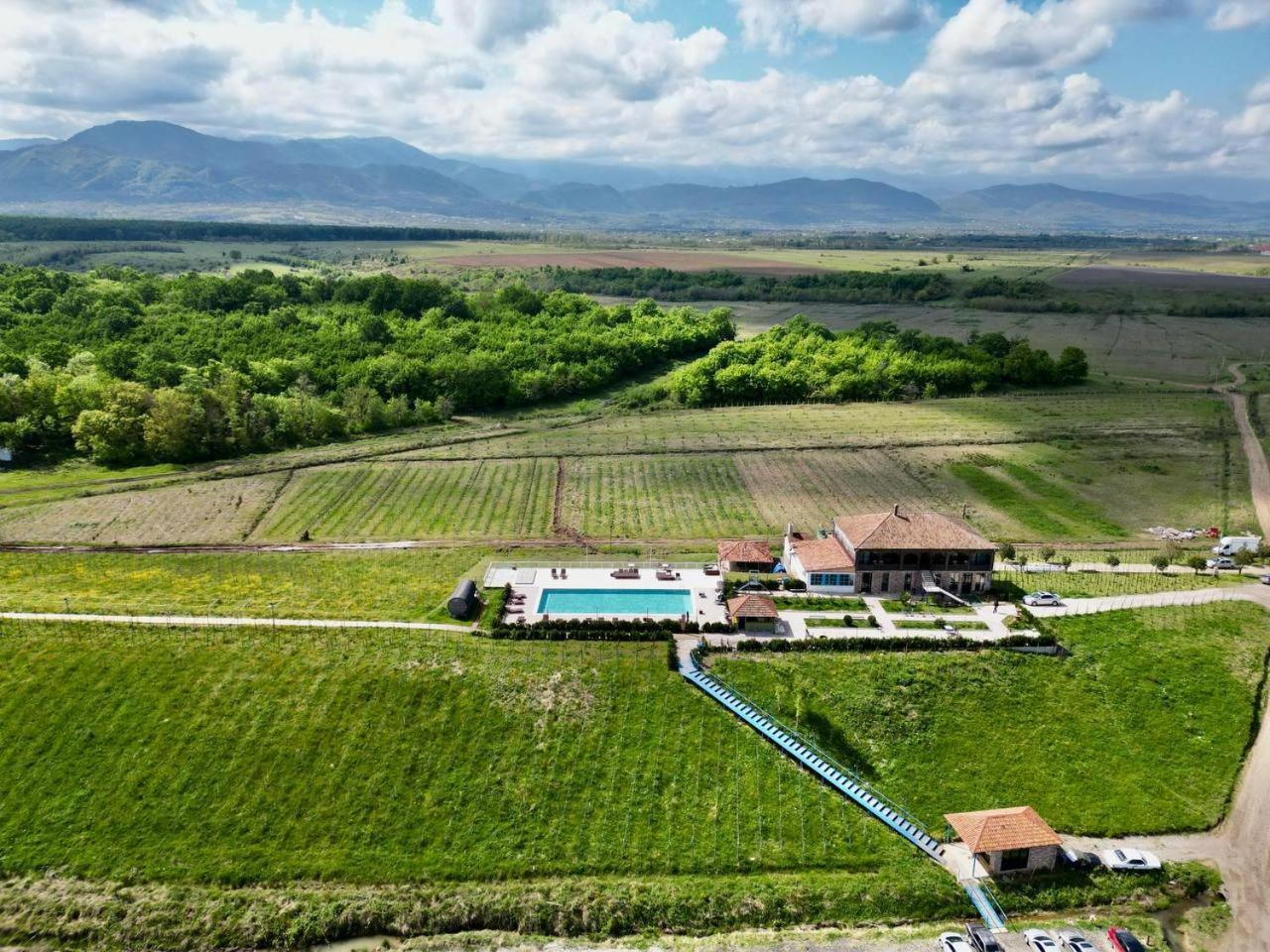 Chateau Vartsikhe Kültér fotó