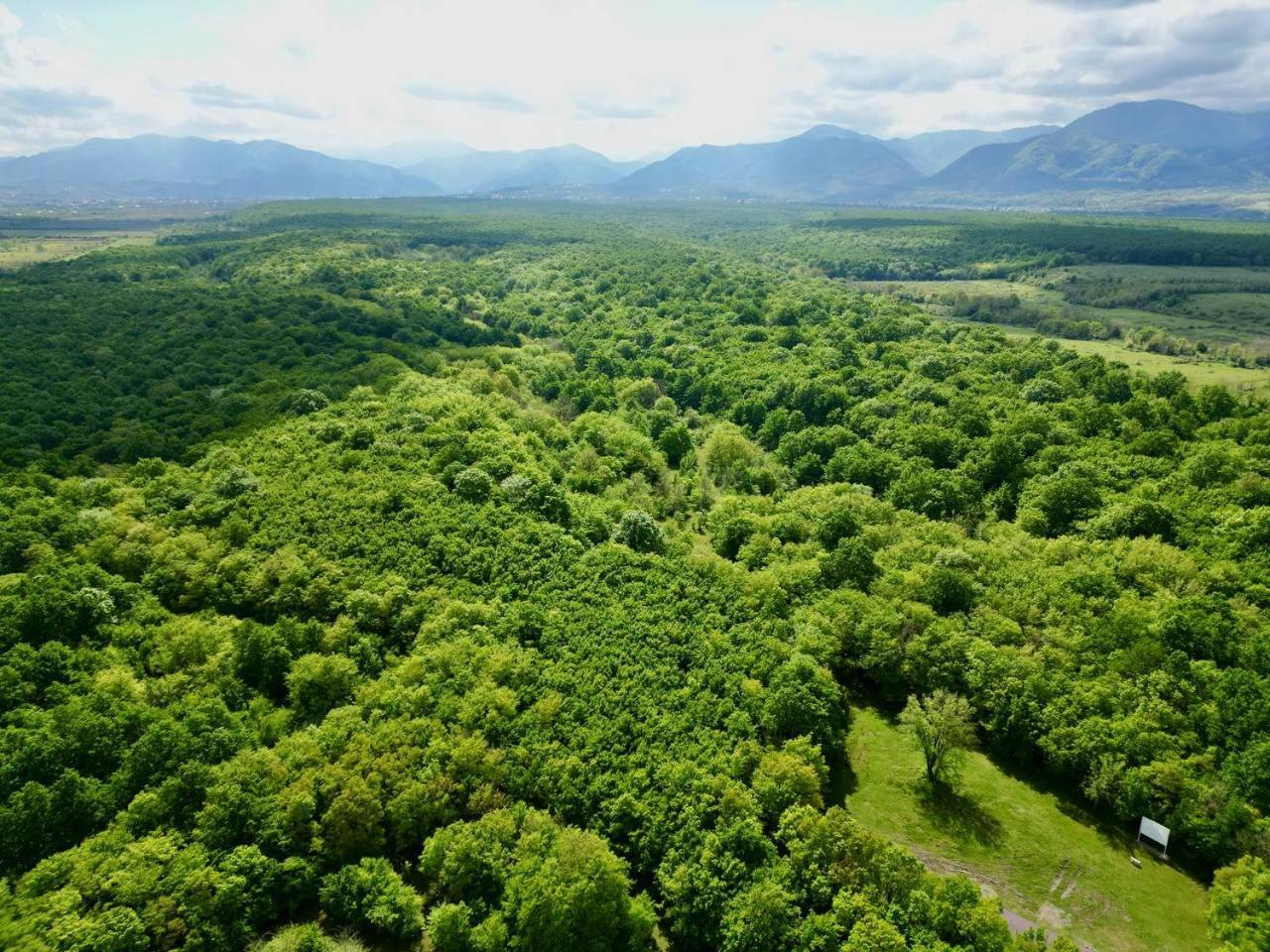 Chateau Vartsikhe Kültér fotó