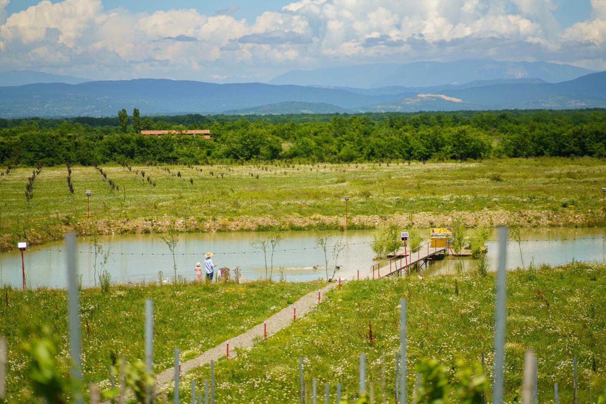 Chateau Vartsikhe Kültér fotó